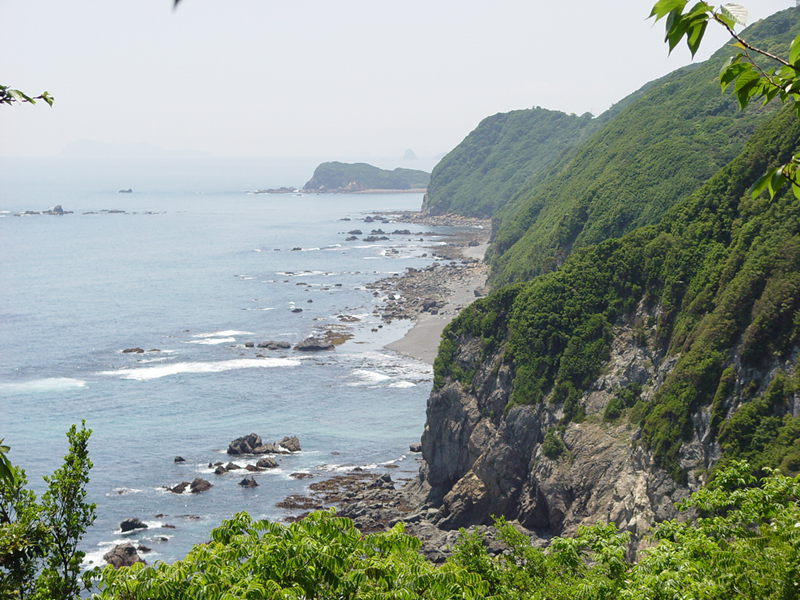 image0007