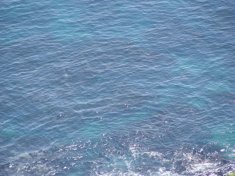 image0011