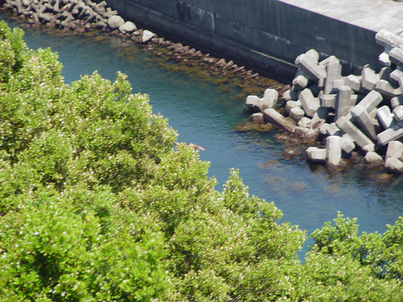 image0019
