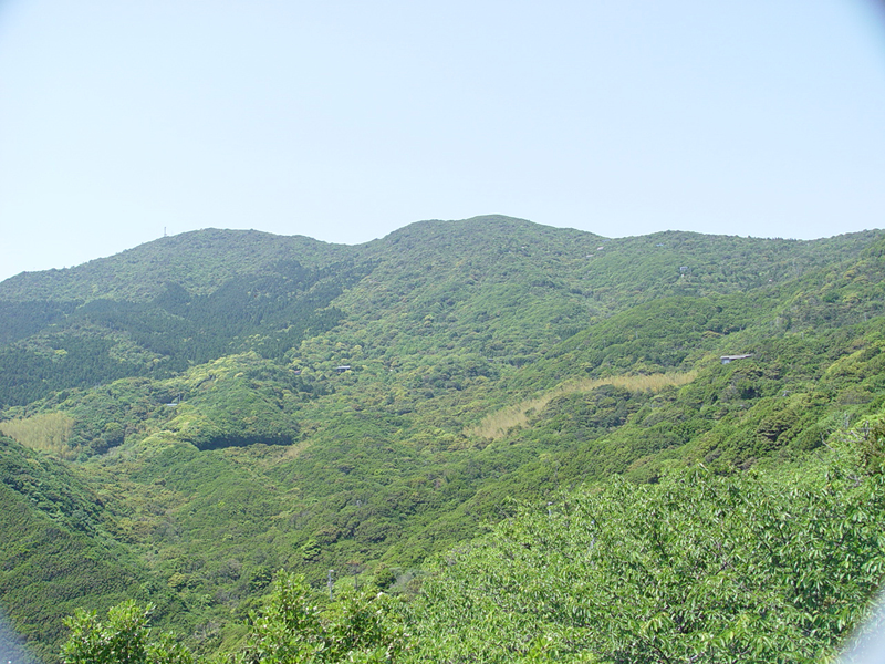 image0021