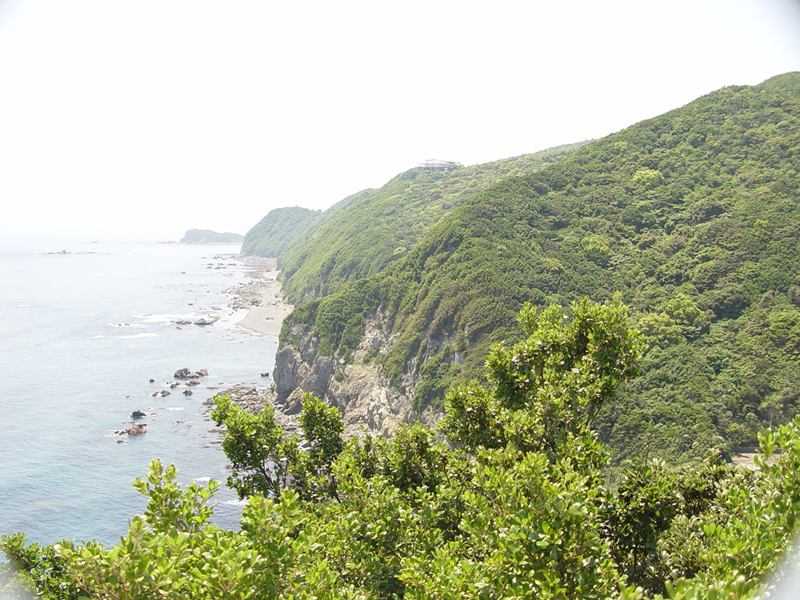 image0024