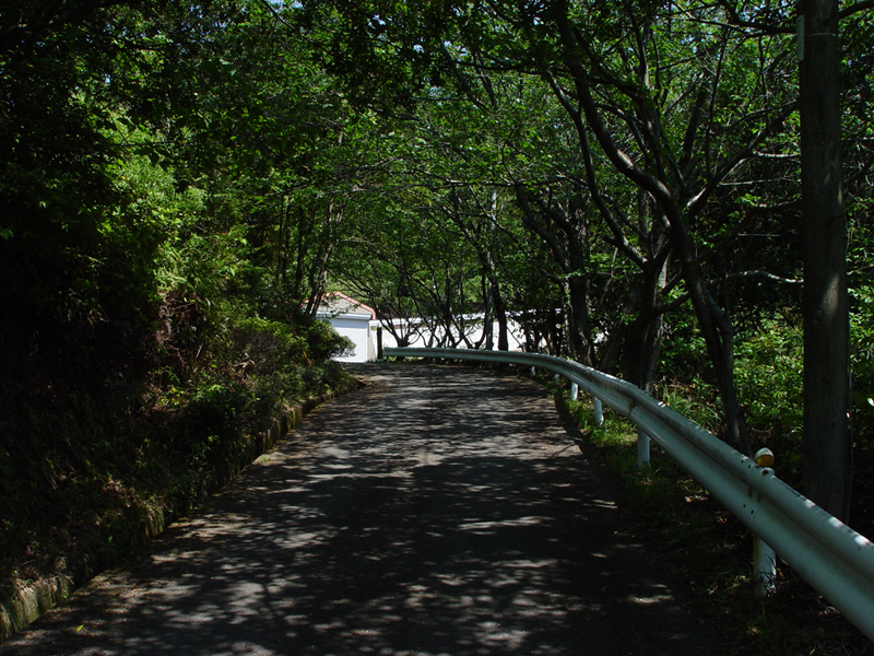 image0027