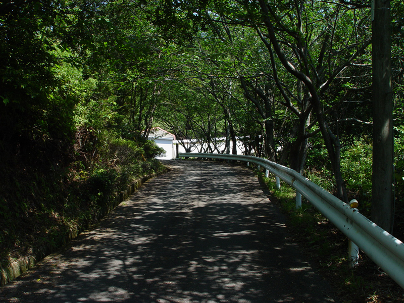 image0028