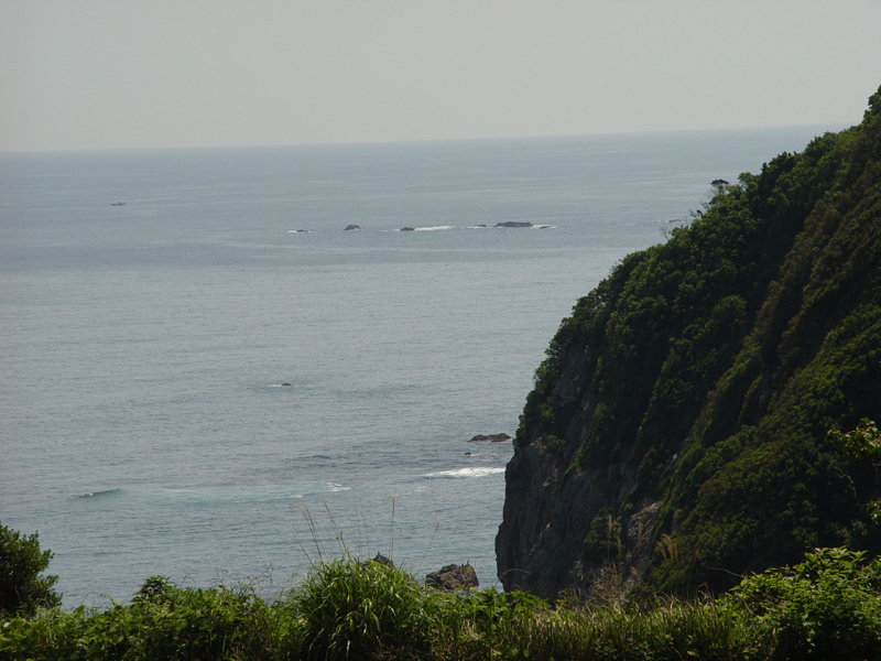 image0031