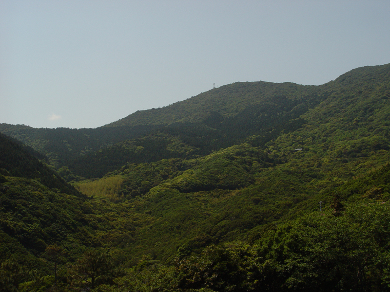 image0032