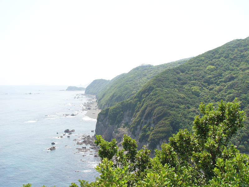 image0044