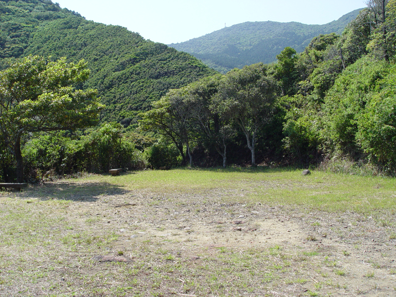 image0062