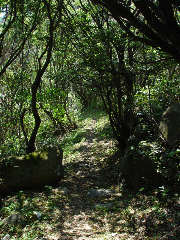 image0067