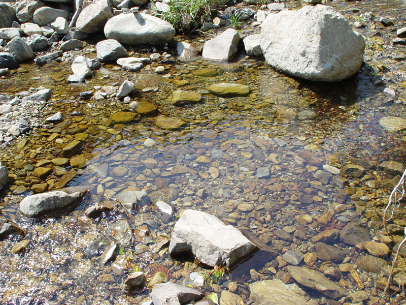 image0069