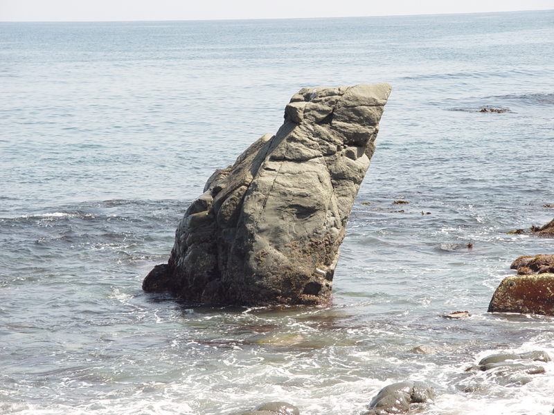 image0081