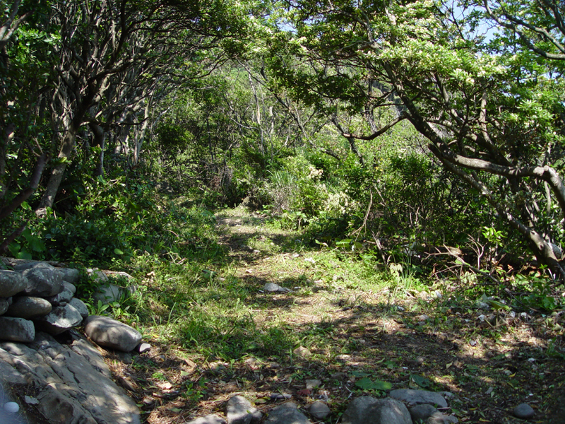 image0111