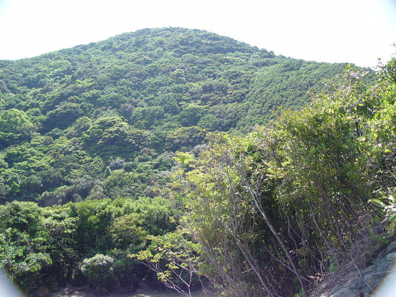 image0112