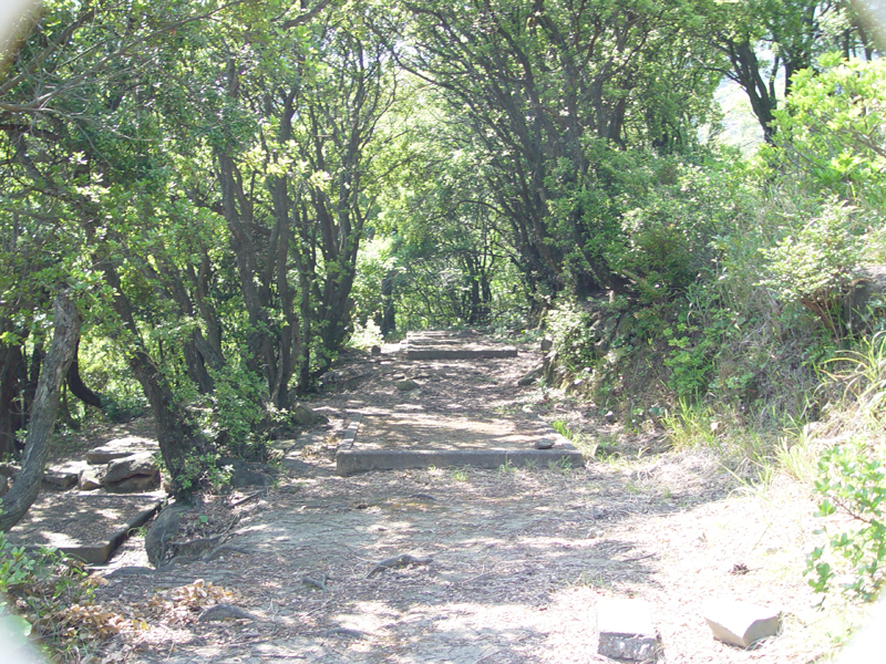 image0113