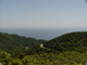 image0001
