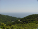 image0002