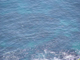 image0011