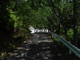 image0027