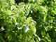 image0029