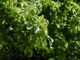 image0030