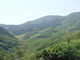 image0033