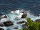 image0042