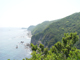 image0044