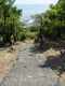 image0061