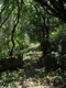image0067