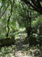 image0068