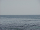 image0092