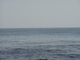 image0093