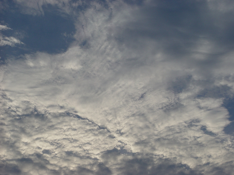 image0007
