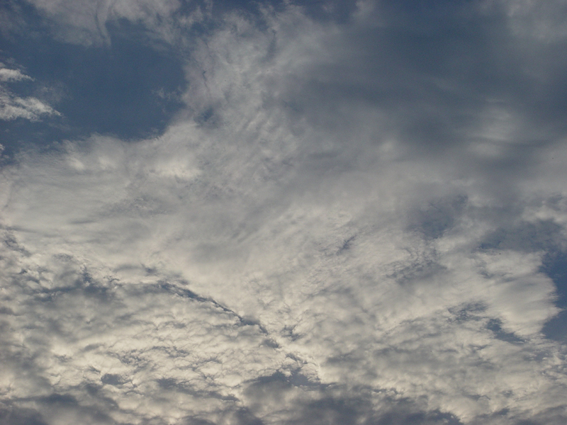 image0008