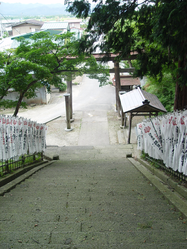 image0019