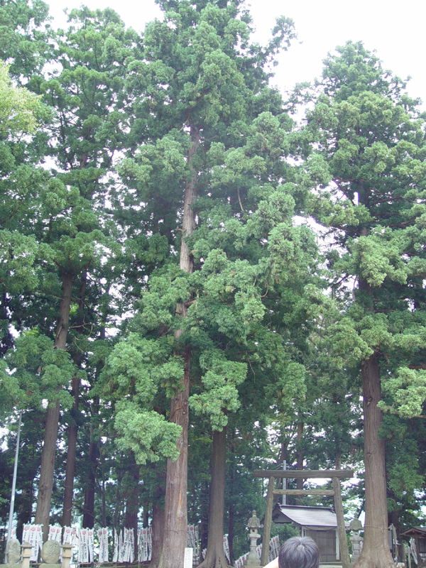 image0029