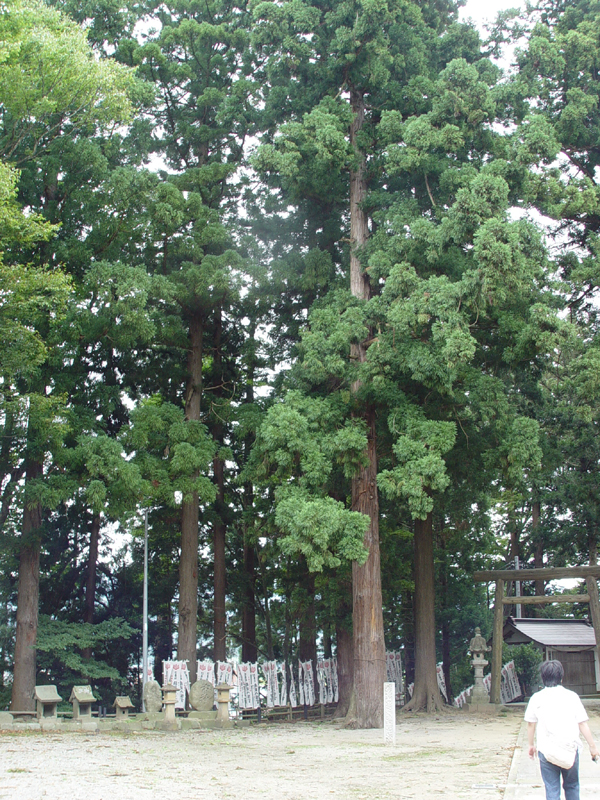 image0030