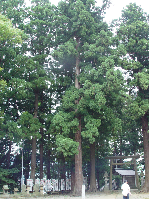 image0031