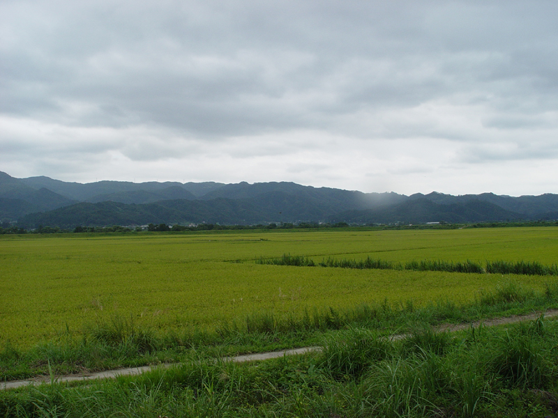 image0039