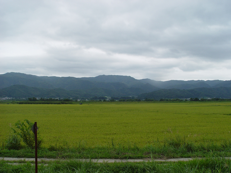 image0040