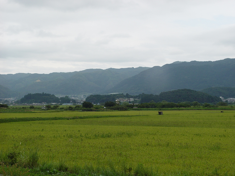 image0044