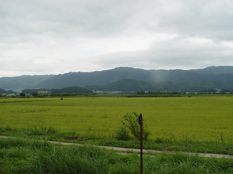 image0046
