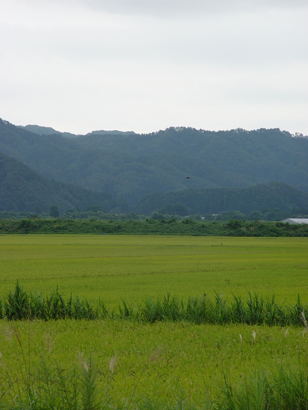 image0063
