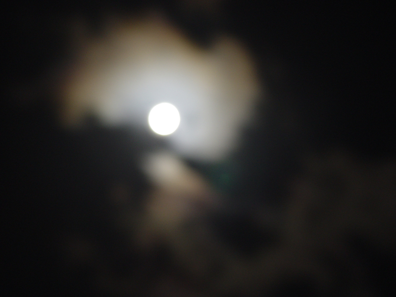 image0083