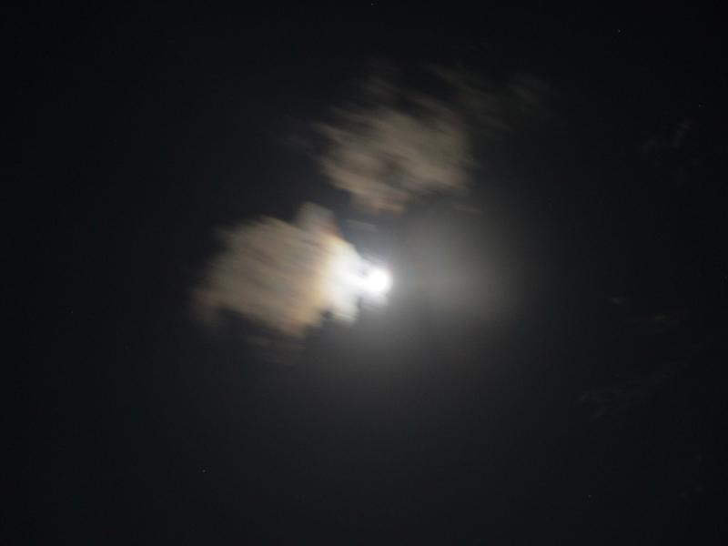 image0089