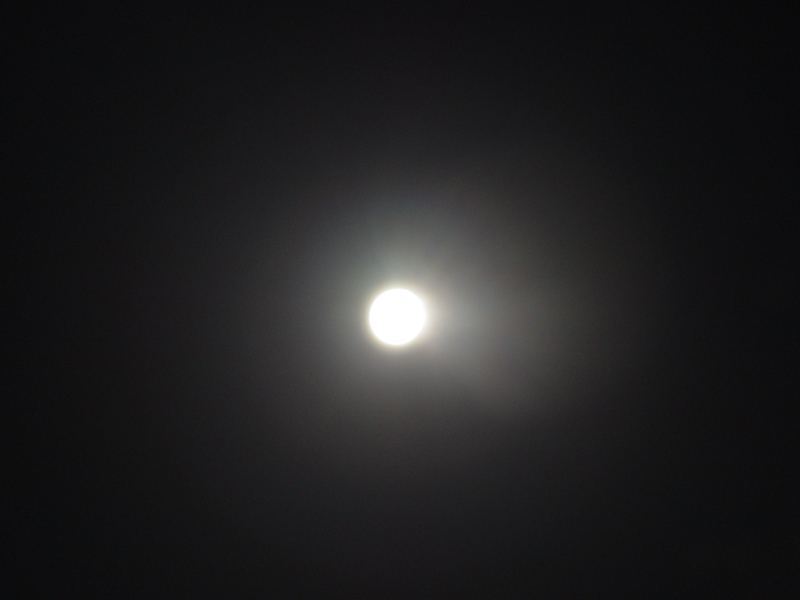 image0092
