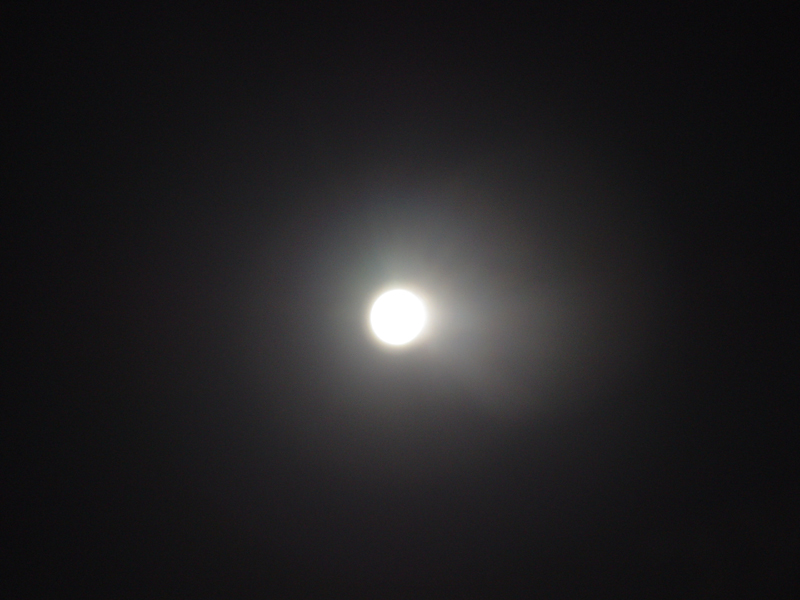 image0093