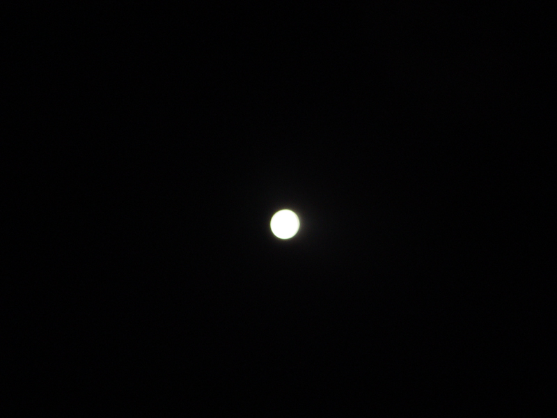 image0095