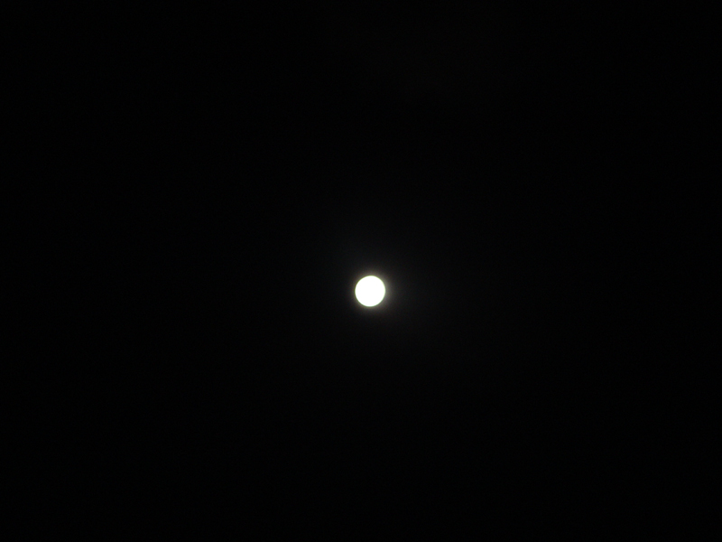 image0096