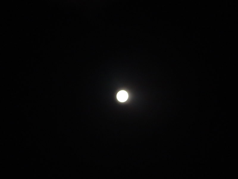 image0097