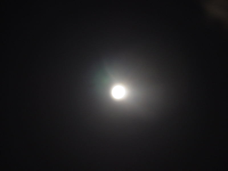 image0098
